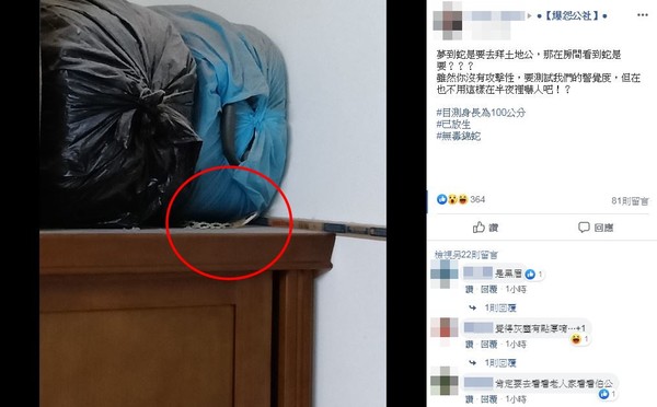 夢到蛇要拜土地公，那在房間看到蛇是要？（圖／翻攝自Facebook／爆怨公社）