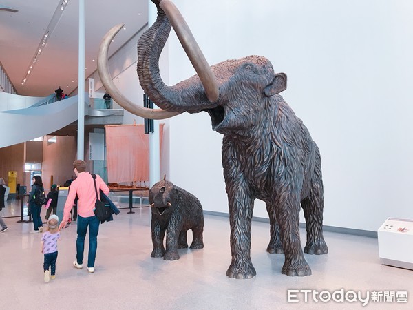 ▲▼愛德蒙頓皇家亞伯達省博物館（Royal Alberta Museum）。（圖／記者賴文萱攝）