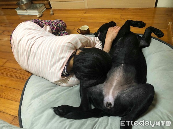 ▲曾反對養狗的阿嬤睡在狗床。（圖／臉書粉專「豬與熊的搗忙日常」授權提供）