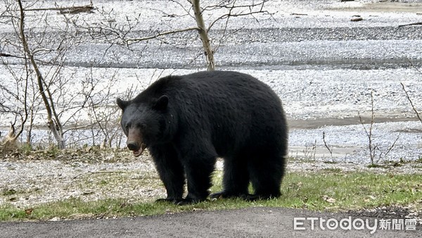 ▲▼加拿大傑士伯國家公園Jasper Nation Park、瑪琳峽谷。（圖／記者賴文萱攝） 