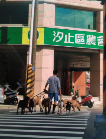 他遭鄰居抱怨搬家8次，動保員一看超驚訝。（圖／新北市動保處提供）