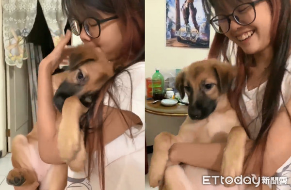 塞奶汪每天討抱，她抱30秒崩潰！（圖／飼主雷夢提供，請勿隨意翻拍，以免侵權。）