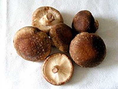 ▲香菇。（圖／翻攝自Wikipedia）