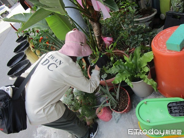 ▲疾管署防疫人員於高雄市三民區鼎金里查核社區病媒蚊孳生源（圖／疾病管制署提供）