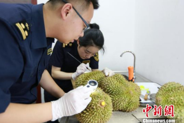 ▲華聞快遞／廣東省對俄羅斯進出口達197.4億元人民幣　年增率增長26.5%（圖／中新社）