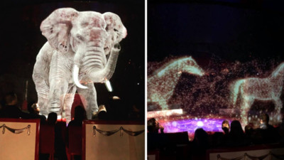 德馬戲團宣布全面禁用動物！3D投影「等身大象」　網讚：必帶小孩光顧