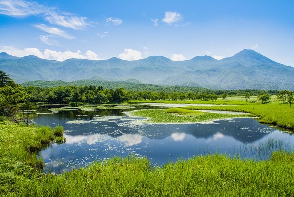 ▲知床五湖中的一湖。（圖／shutterstock.com提供）