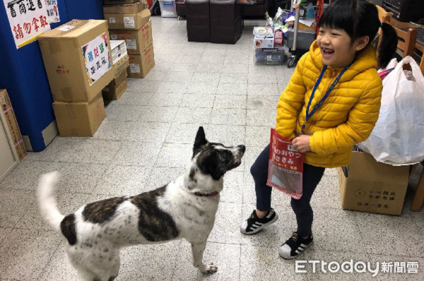 ▲畢業學生到寵物雲商店體驗幫校犬洗澡。（圖／東森寵物雲三重中正北店、重陽國小教主主任王虹娟授權提供）