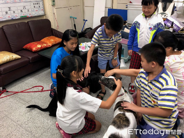 ▲畢業學生到寵物雲商店體驗幫校犬洗澡。（圖／東森寵物雲三重中正北店、重陽國小教主主任王虹娟授權提供）