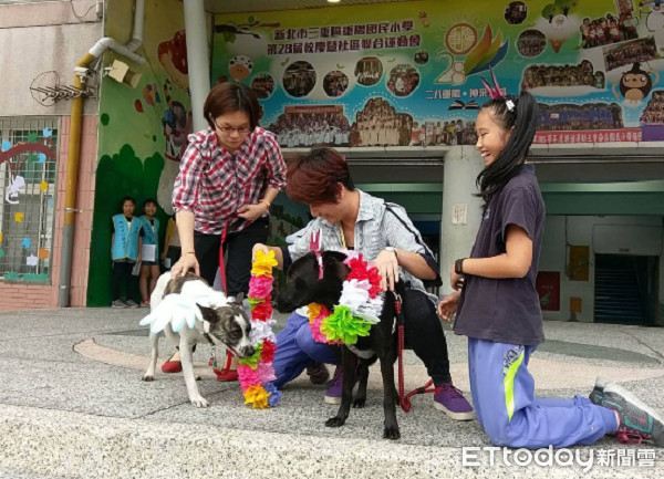 ▲畢業學生到寵物雲商店體驗幫校犬洗澡。（圖／東森寵物雲三重中正北店、重陽國小教主主任王虹娟授權提供）