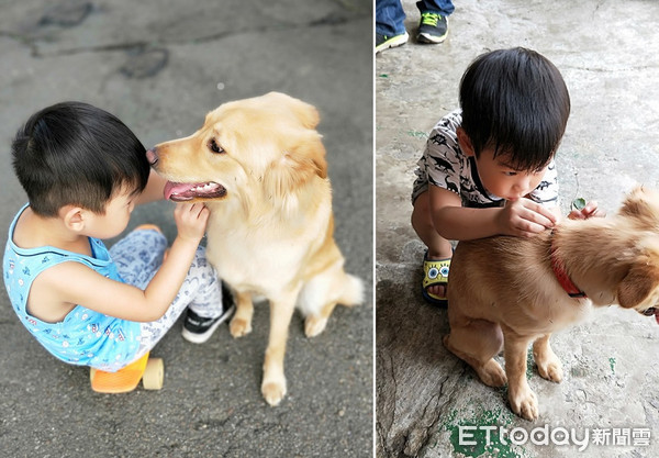 牠全身鬼針草！暖哥蹲下拔到鬥雞眼。（圖／有點毛毛的／飼主卓巧薇提供）