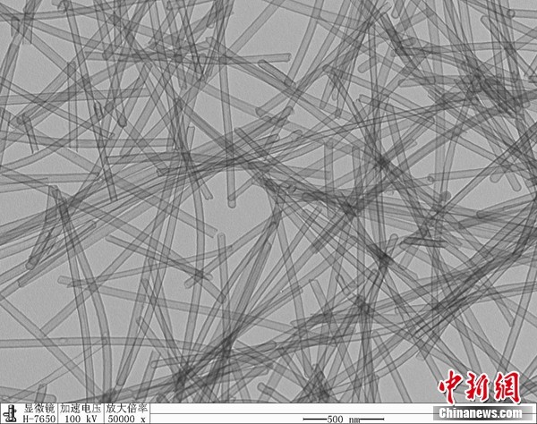 ▲中國科大仿北極熊毛發成功研製一種保溫材料。（圖／翻攝自《中新社》）