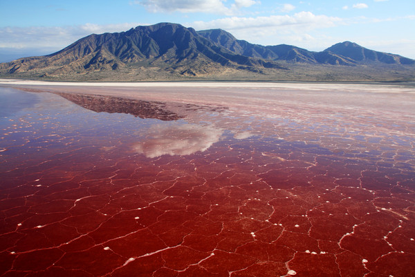 ▲▼非洲坦尚尼亞納特龍湖（Lake Natron）。（圖／CFP）