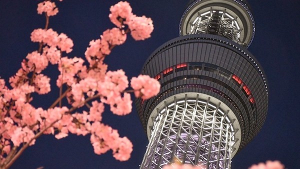 開放國境是一種魔法！　日本10月有望免簽自由行
