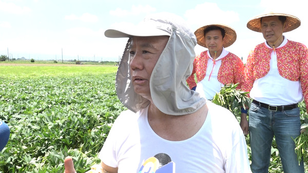 ▲魏應充攜手四大企業 雲林契作地瓜助農民。（圖／記者謝婷婷攝）