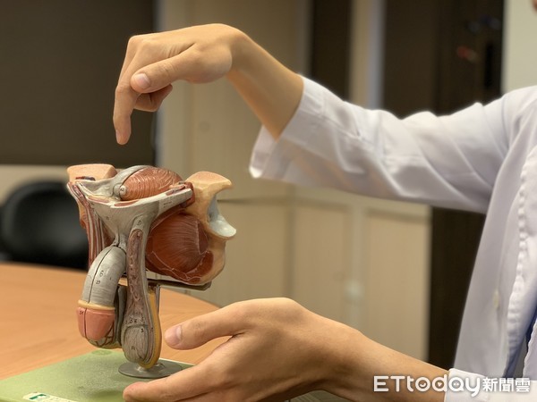 ▲肝硬化腹水陰囊像葡萄柚。（圖／記者嚴云岑攝）