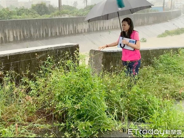 ▲台南市議員林燕祝（左二）等人冒雨踏勘，發現不僅堤岸多處掉落，裡面更是未用鋼筋，工程品質不盡適當。（圖／記者林悅翻攝，下同）
