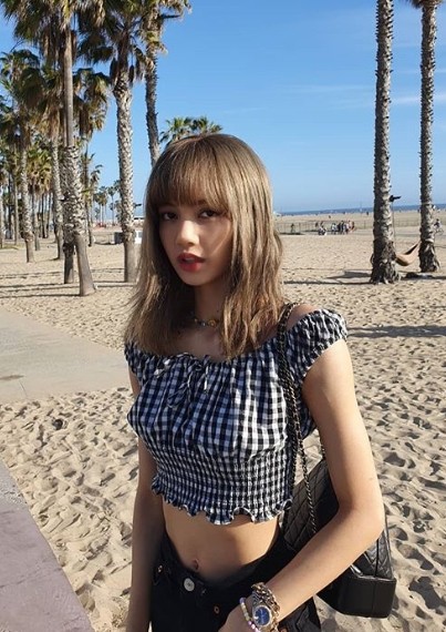 ▲Lisa螞蟻腰。（圖／翻攝自Instagram／Lisa）