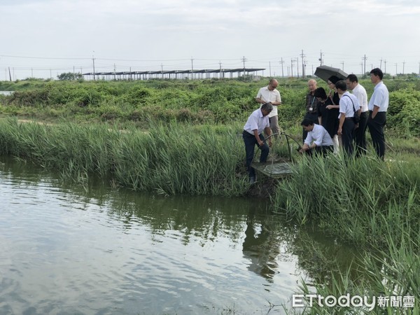 ▲台灣魚塭生態養殖協會，邀請日本山崎誠眾議員及全國地方議員政策中心上原公子所長，至七股分享日本農電共生及水面太陽能發展經驗。（圖／記者林悅翻攝，下同）