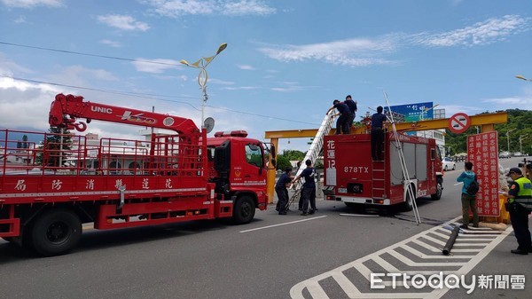 ▲▼花蓮縣消防局新秀分隊消防車行經市區尚志橋，因不熟限高而撞上限高架，消防局立即協調廠商趕赴現場處理。（圖／花蓮市公所提供，下同）