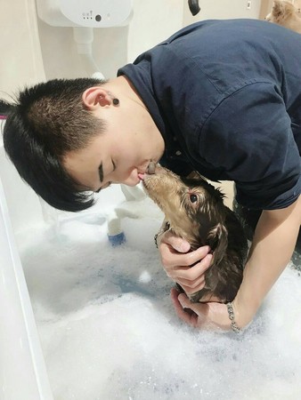 超人氣毛小孩才藝秀來啦！　熊爸教你怎麼訓練狗狗學會「賣萌技能」