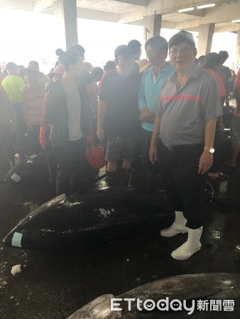 ▲屏東縣東港區魚市場19日拍賣黑鮪魚，重達410公斤。（圖／記者陳崑福翻攝）