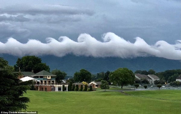▲杭特在維州史密斯山之顛浮拍到的「海嘯雲」     。（圖／翻攝自臉書@Amy Hunter）