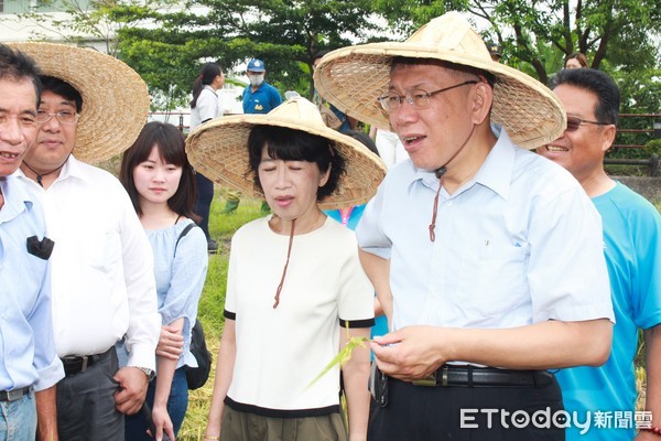 ▲▼台北市長柯文哲農事體驗。（圖／記者楊亞璇攝）