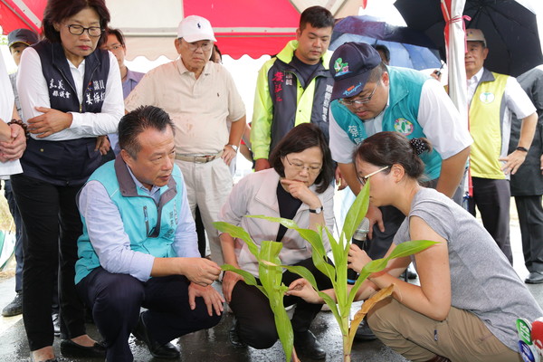 ▲▼ 總統蔡英文南下嘉義，視察秋行軍蟲防疫與馬稠後產業園區。（圖／記者翁伊森翻攝，下同）