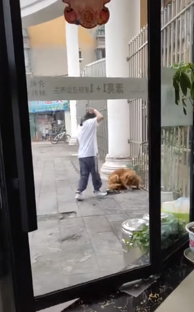 阿金秀3秒逃脫術，見媽秒縮角落。（圖／翻攝自抖音APP用戶「570537597」）