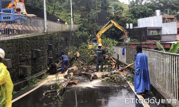 ▲ 基隆300年老榕樹倒塌 阻8民宅無法通行「自動放假一天」。（圖／記者郭世賢翻攝）