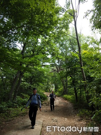 ▲▼南韓無等山國立公園。（圖／記者徐溱謐攝）