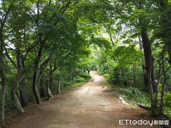 ▲▼南韓無等山國立公園。（圖／記者徐溱謐攝）