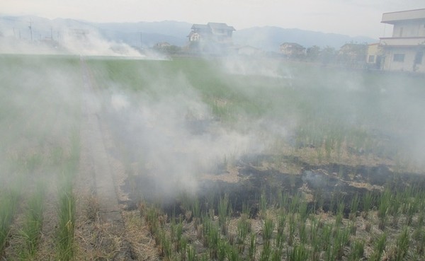 ▲▼農民燃燒稻草，會被裁處10萬元以下罰鍰。（圖／宜蘭環保局提供，下同）
