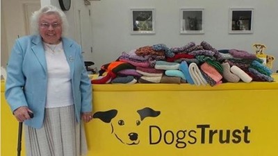 89歲老奶奶親手織「450件避寒毛毯」給浪浪！　動物之家暖到底