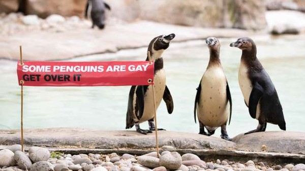 ▲▼ZSL倫敦動物園動將於下週五（7月5日）進行同志遊行。（圖／翻攝自ZSL London Zoo）