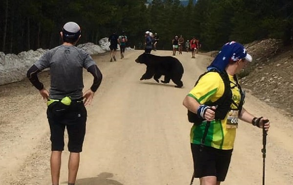 黑熊亂入馬拉松一起跑　跑者嚇到不敢動：最慢的人小心被吃。（圖／翻攝自Facebook／Quentin Genke）