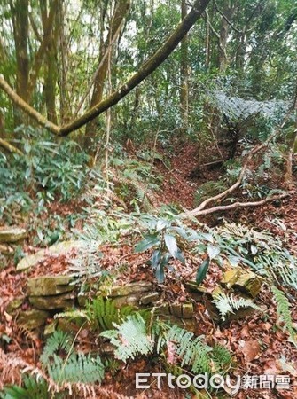 ▲馬赫坡古戰場仍存有當時戰壕與防禦用的砌石墻。