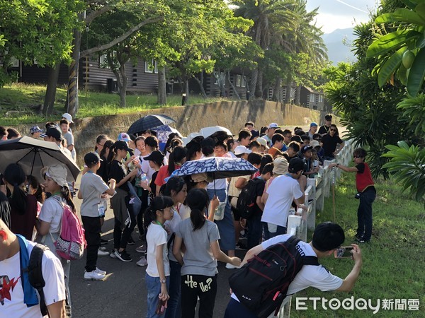 ▲小墾丁渡假村推出「國際天文生態營」，吸引香港宣道會葉紹蔭紀念小學師生參與。（圖／記者陳崑福翻攝）