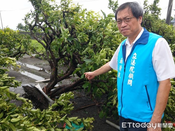 ▲屏東縣南州鄉、林邊鄉龍捲風襲擊，80歲老嫗滿臉被碎玻璃刺傷住院治療。（圖／記者陳崑福翻攝）