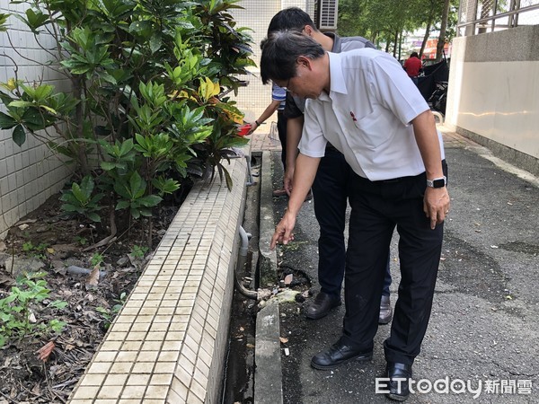 ▲中華醫大的校園水溝放養大肚魚，有效降低病媒蚊的孳生，曾信超校長（前）率員查看水溝內的大肚魚。（圖／記者林悅翻攝，下同）