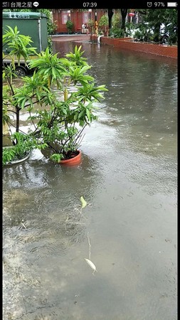 ▲受低壓帶影響，台南地區清晨出現強降雨，雨勢很大造成安南區、東區等地出現積水，尢其是安中路的「安中河」再現。 （圖／翻攝自臉書我住在台南安南區）