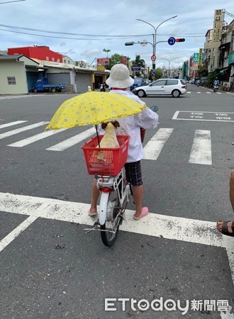 ▲卡打掐阿嬤把傘讓給毛小孩。（圖／網友吳雨潔‎ 授權提供）