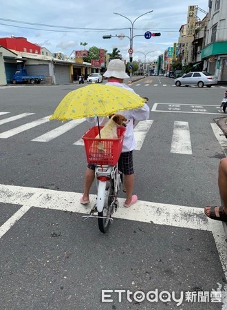 ▲卡打掐阿嬤把傘讓給毛小孩。（圖／網友吳雨潔‎ 授權提供）