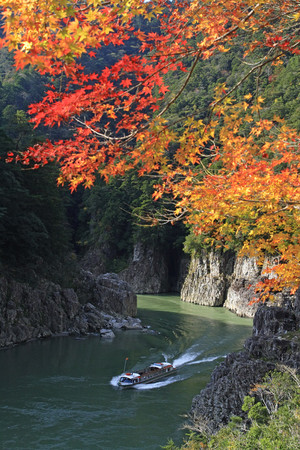 ▲▼日本紀州。（圖／翔笙旅行社提供）