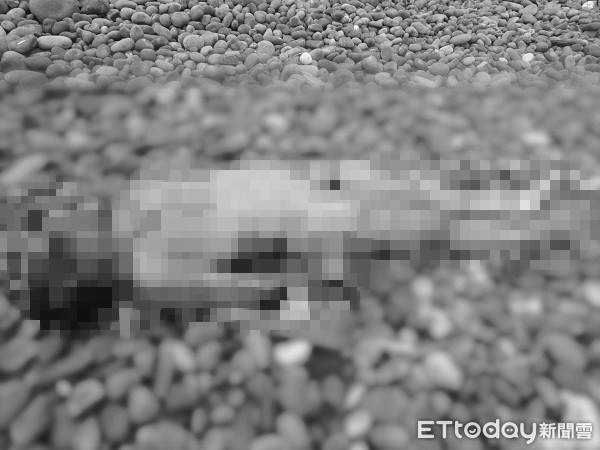 ▲桃園新街溪出海口發現男性裸屍。（圖／大園警分局提供）