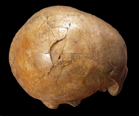 ▲▼羅馬尼亞出土一顆顱骨，科學家「偵破」3.3萬年前謀殺案。（圖／翻攝自Plos.org網站）