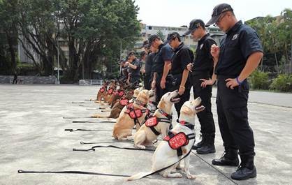 警犬秒跳診療台，讓獸醫全身檢查。（圖／新北市動保處提供）