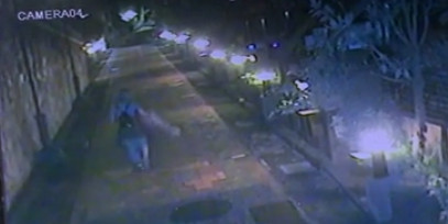 ▲▼ 北市驚傳虐狗事件。（圖／動保處提供）