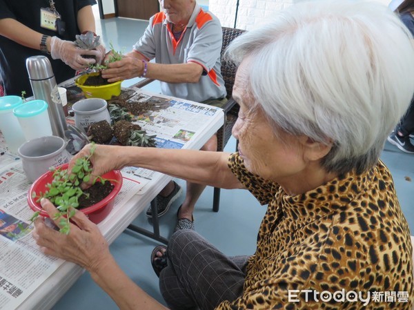 ▲▼透過與花草植物的互動，日照中心的阿公阿媽變得有自信，對自己的成就感到驕傲。（圖／榮總台東分院提供，下同）